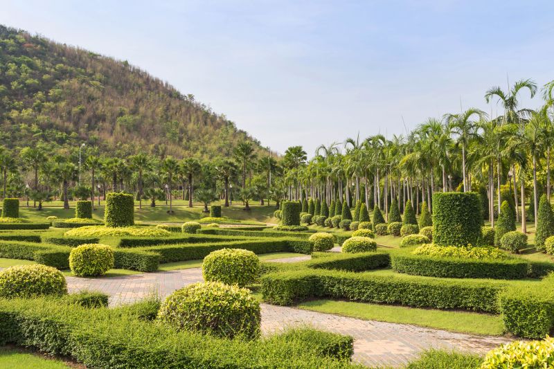 Healthy, Shaped Shrubs