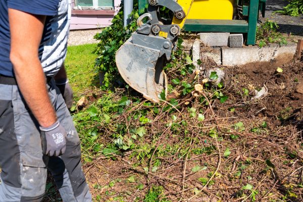 Hedge Removal Service in Bainbridge Island