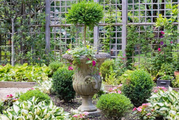 Cost of Topiary Pruning in Bainbridge Island