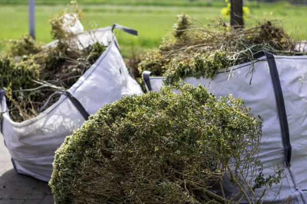 Shrubs Removal in Bainbridge Island