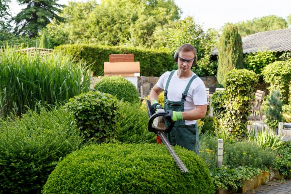 Shrubs Trimming in Bainbridge Island